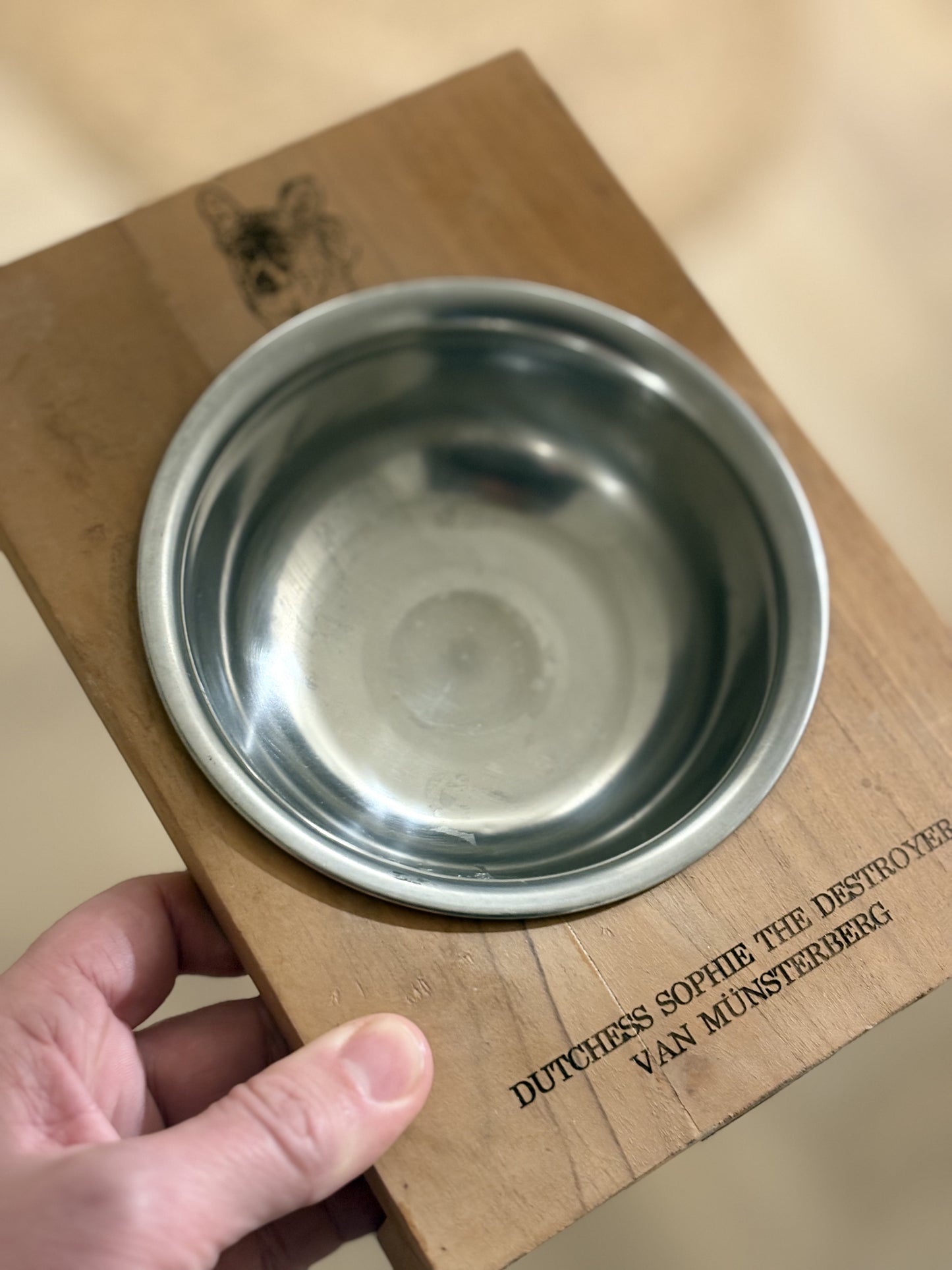 Dog food bowl