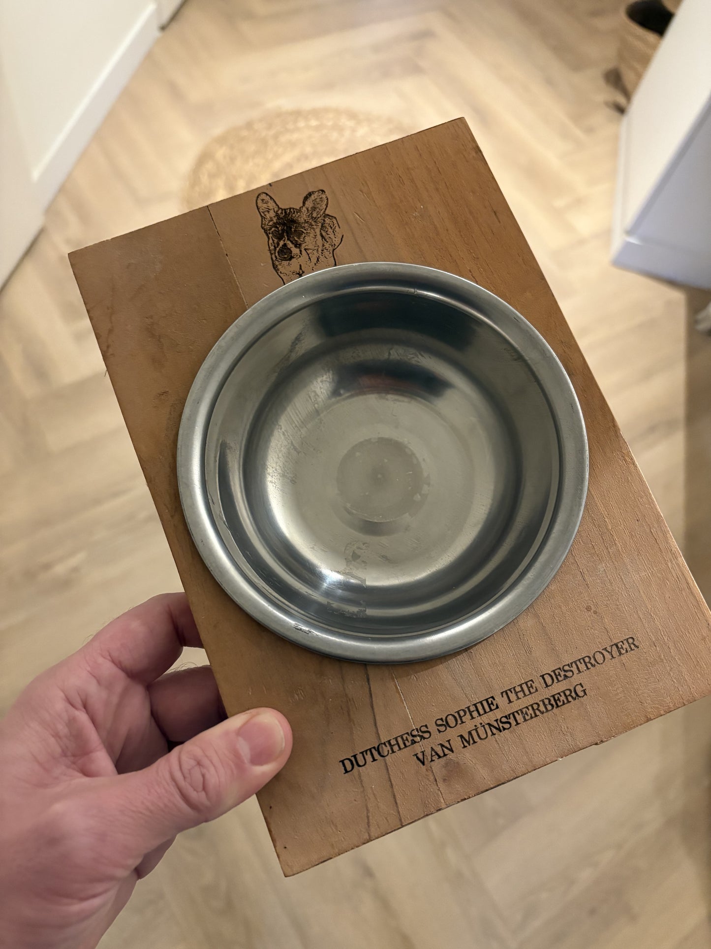 Dog food bowl